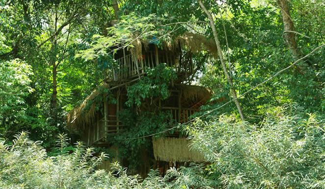 Kalindi Homestay, Wayanad 3